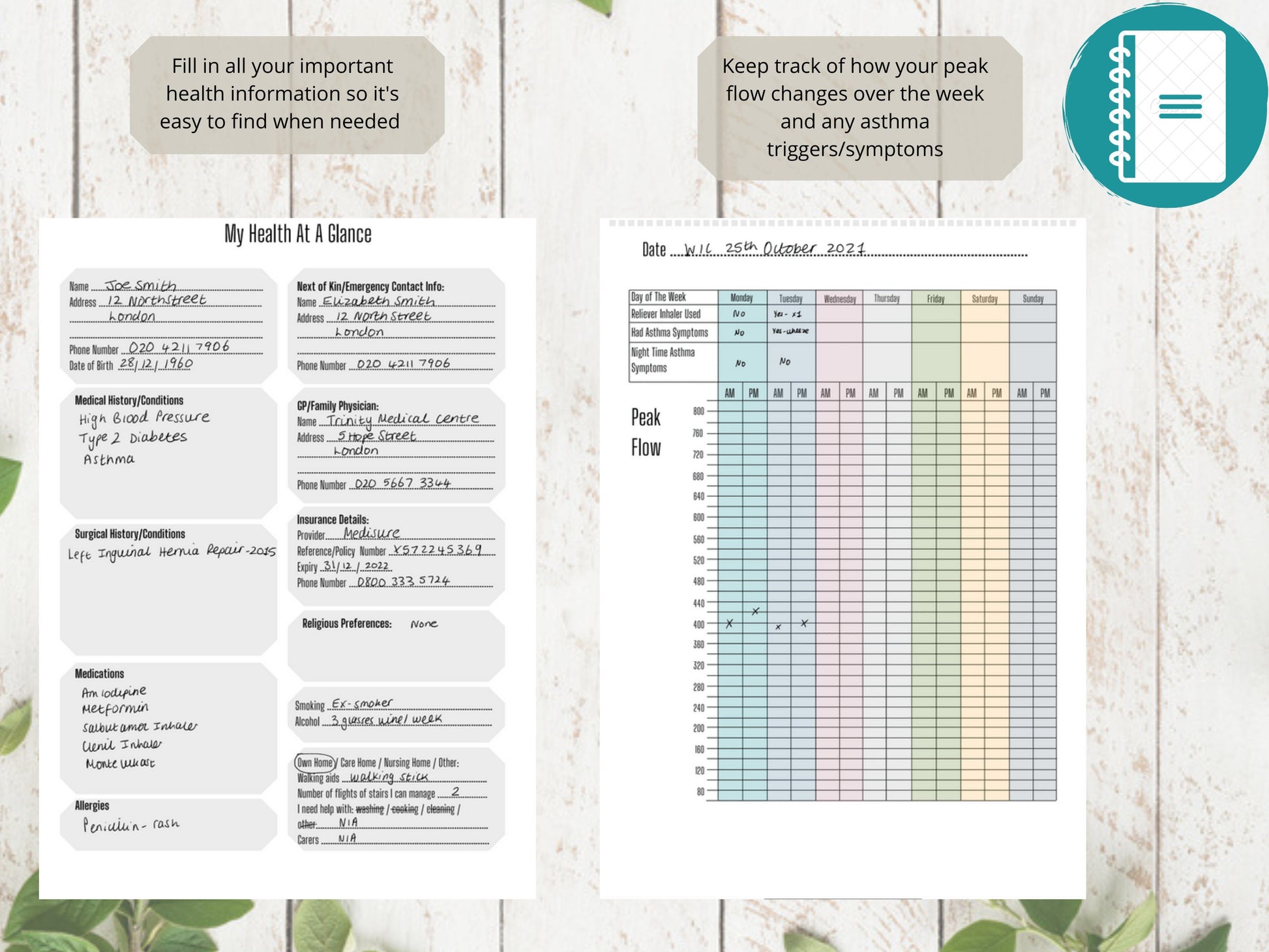 Asthma Peak Flow Log With Extra Pages