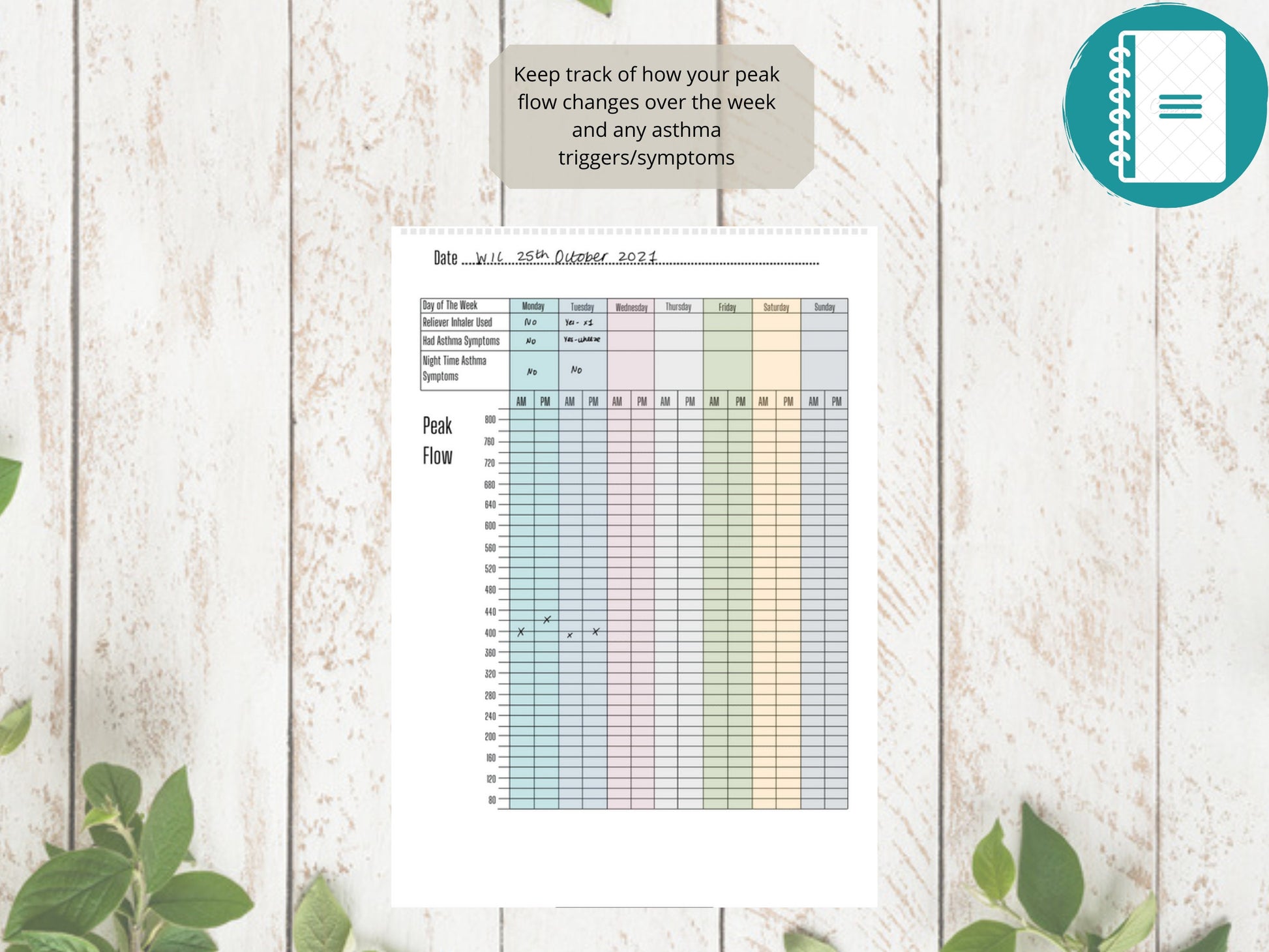 Asthma Peak Flow Log A4 | Peak Flow Tracker | Printed | Medical Chart | Medical Planner