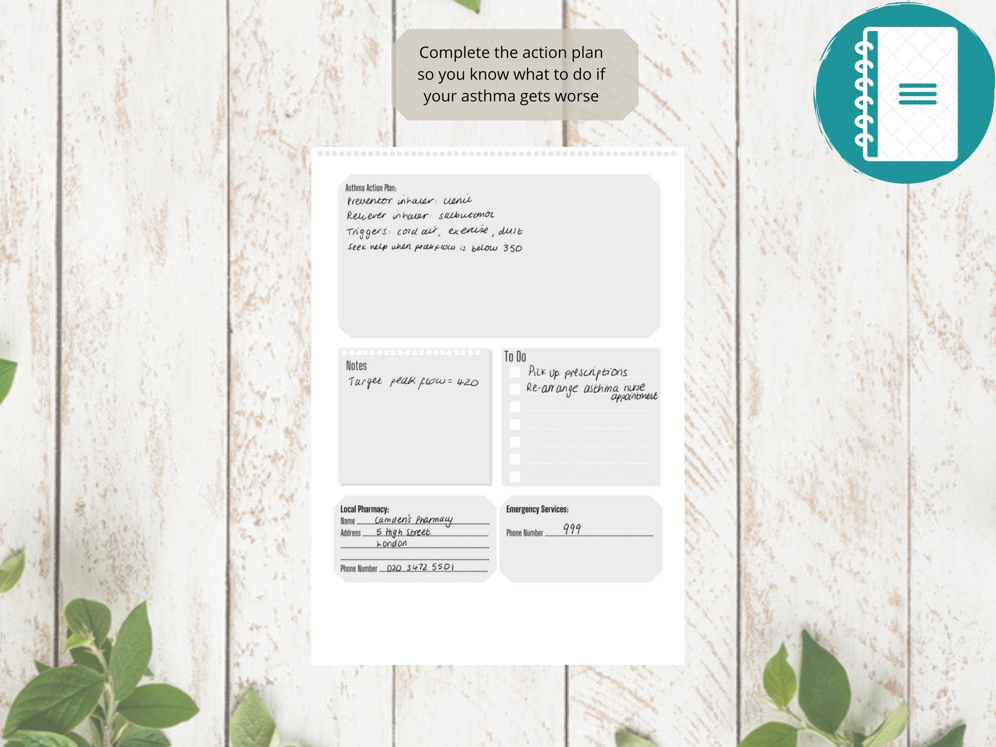 Asthma Peak Flow Log With Extra Pages