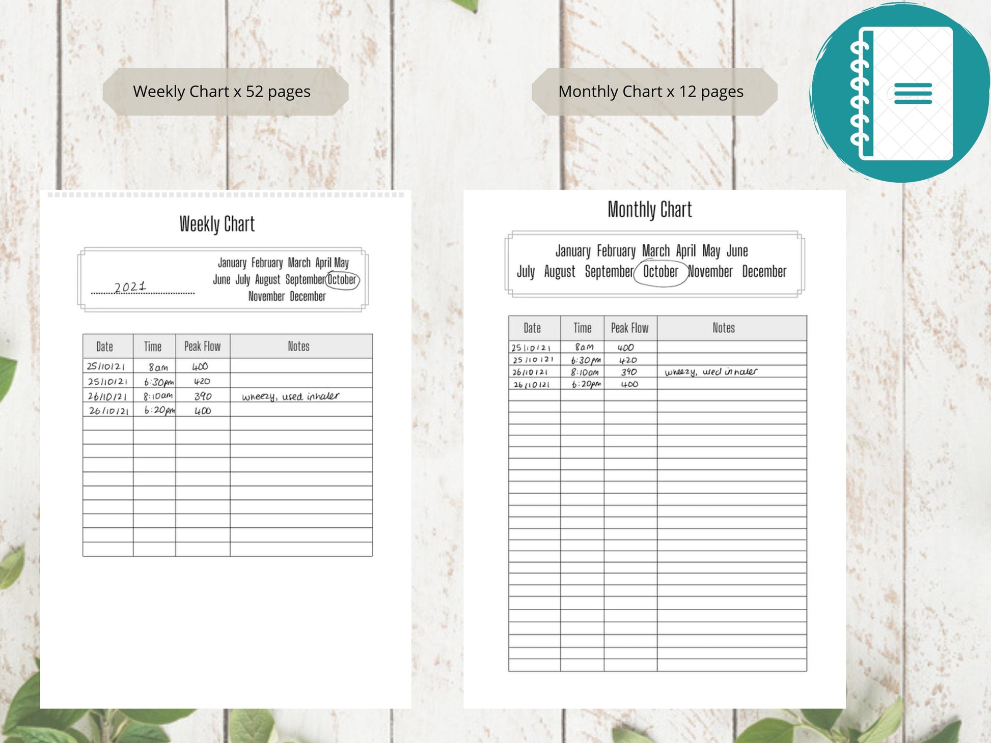 Asthma Peak Flow Log A4 | Peak Flow Tracker | Printed | Medical Chart | Medical Planner