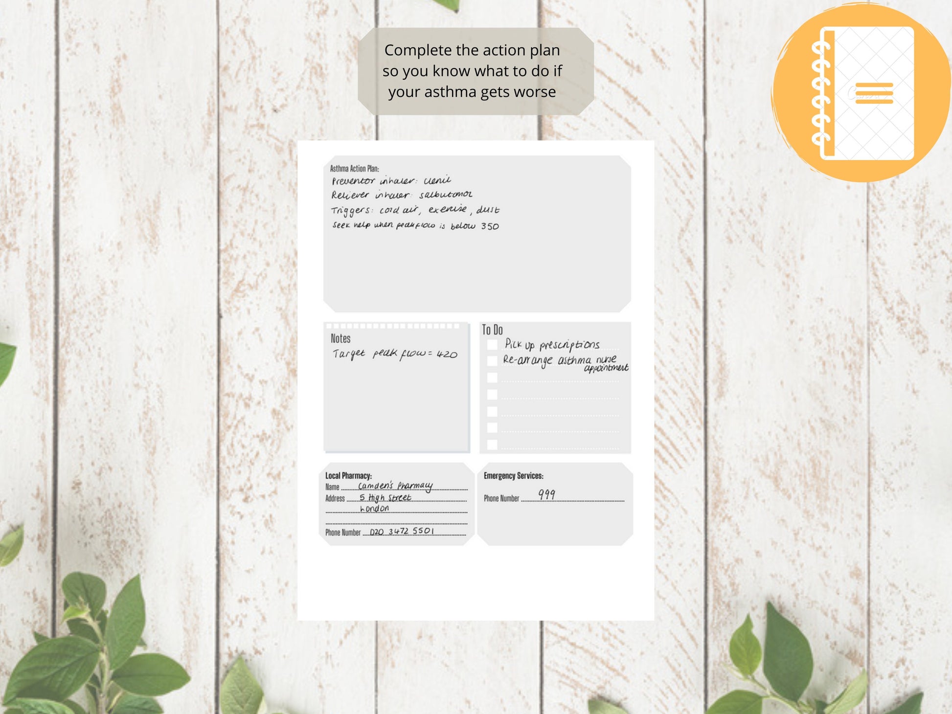 Asthma Peak Flow Log A5 | Peak Flow Tracker | Printed | Medical Chart | Medical Planner