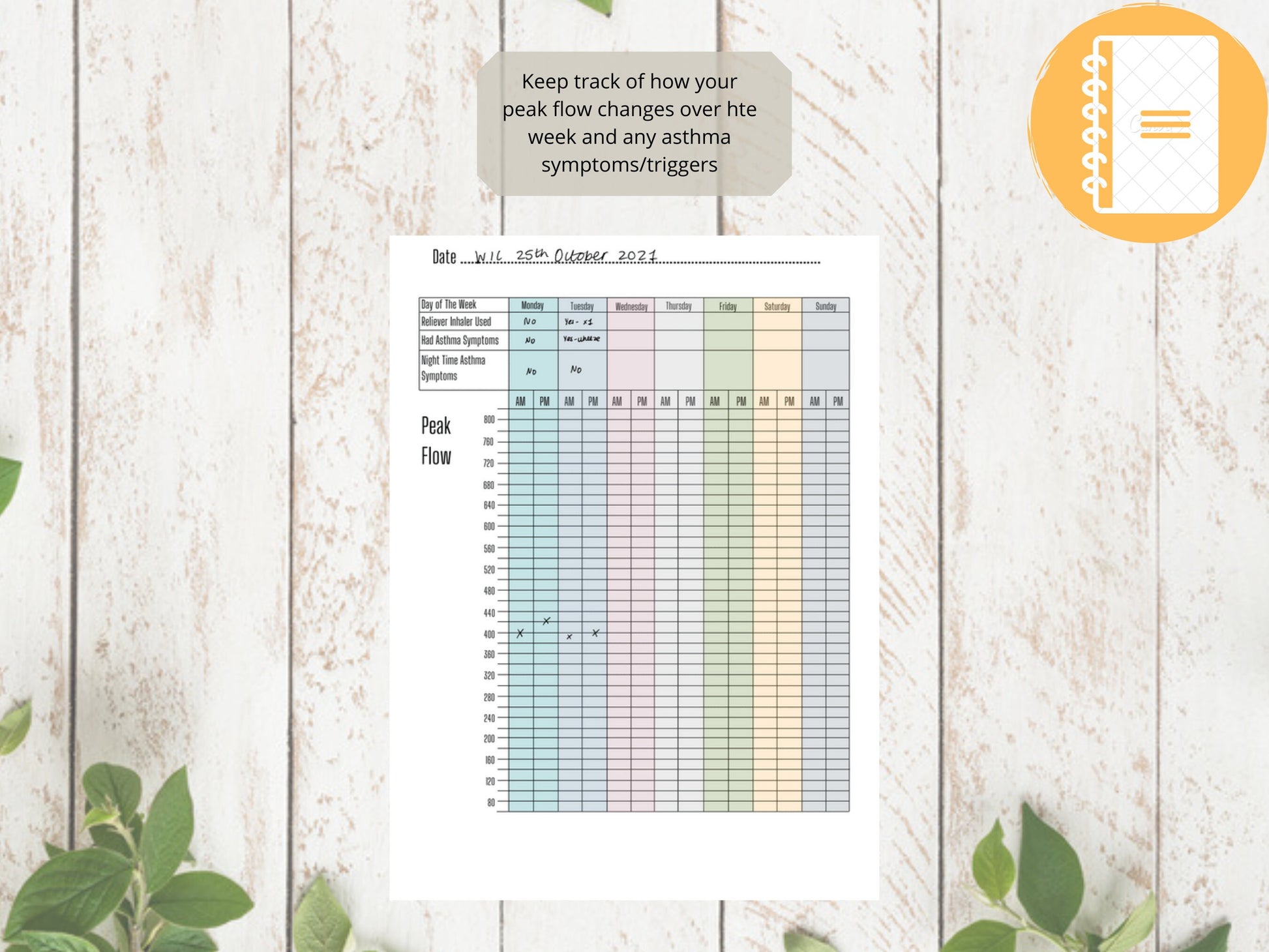 Asthma Peak Flow Log