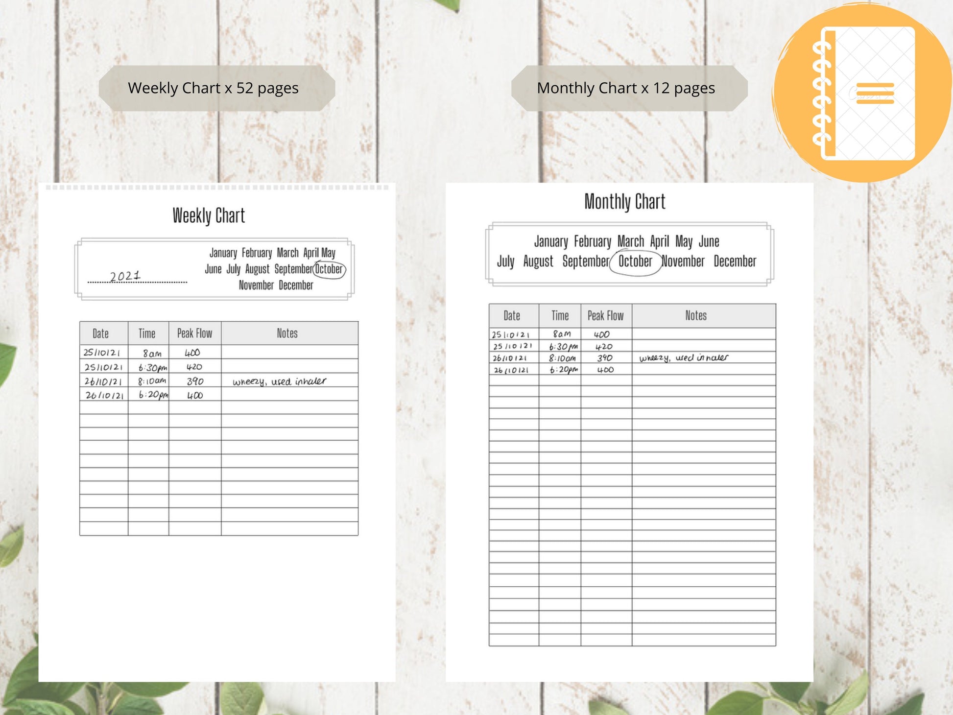 Asthma Peak Flow Log A5 | Peak Flow Tracker | Printed | Medical Chart | Medical Planner