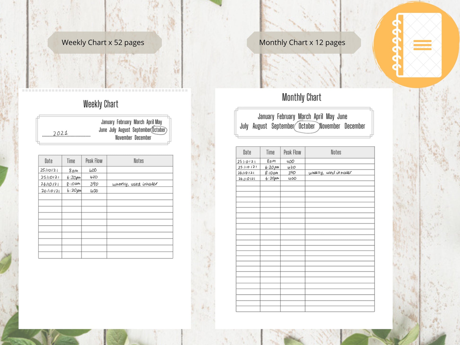Asthma Peak Flow Log