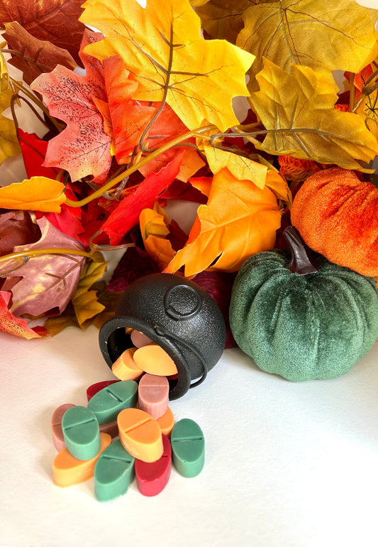 Take A Chill Pill Soy Wax Melts - Autumn Edition